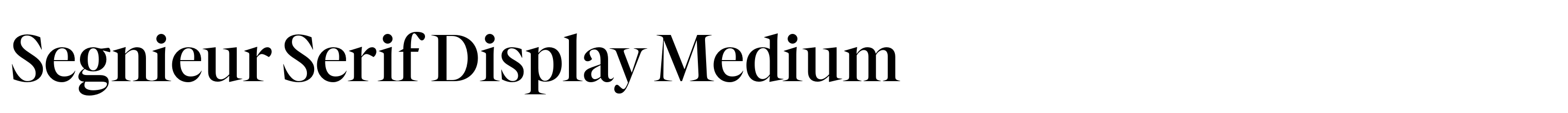 Segnieur Serif Display Medium